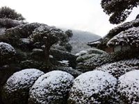 2012年1月25日津田町鶴羽山手の雪の写真②